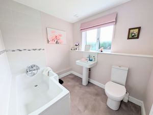 Photo 22- click for photo gallery